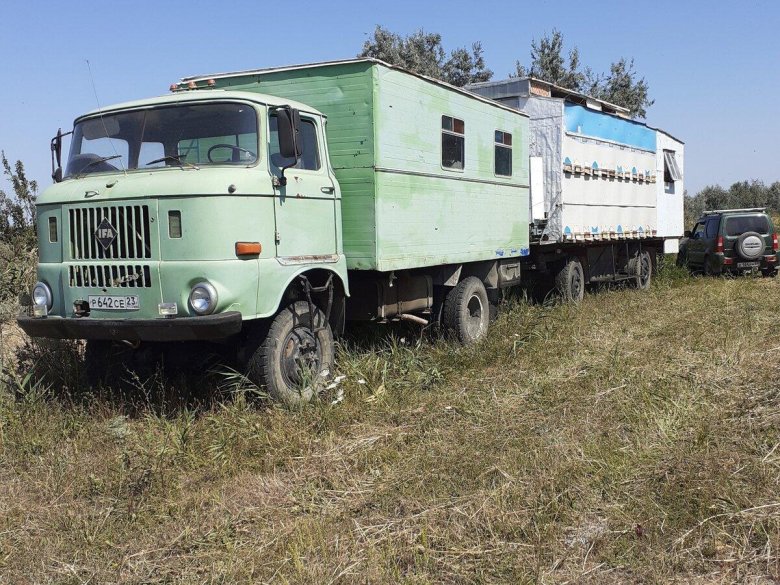 Грузовик ifa w50