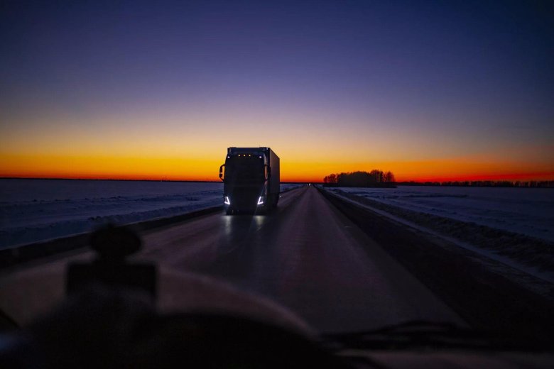 Газель на закате