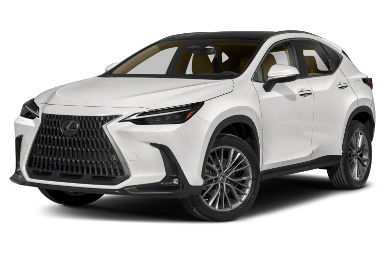 Lexus nx 2022
