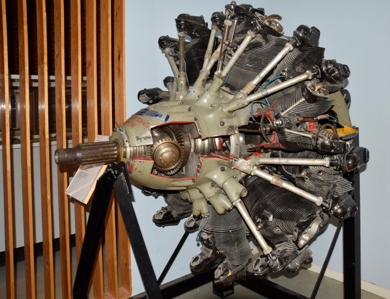 Моторы Гном Рон