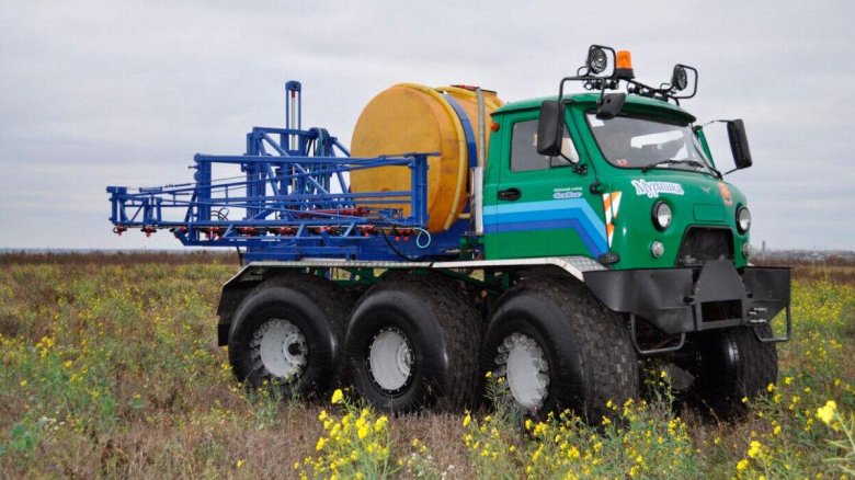 Мкм 1905 Мурашка