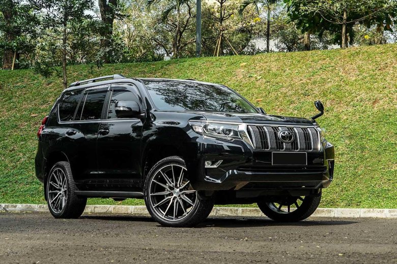 Land Cruiser Prado r20