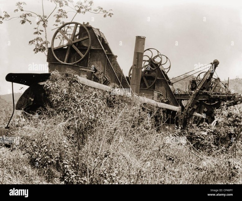 Экскаватор-каналокопатель д-583