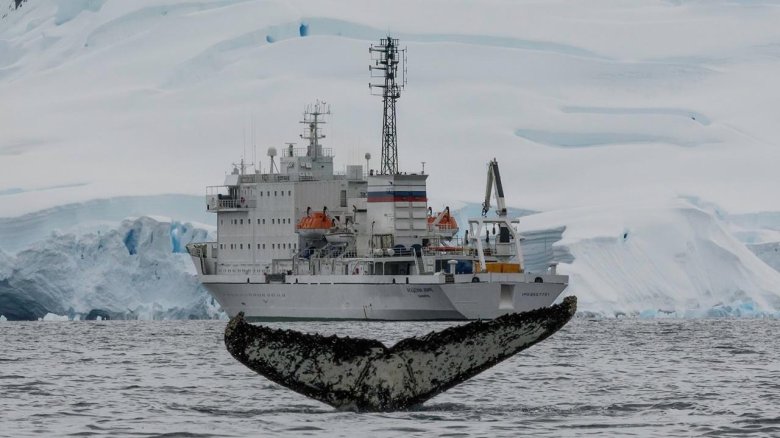 Академик Иоффе судно