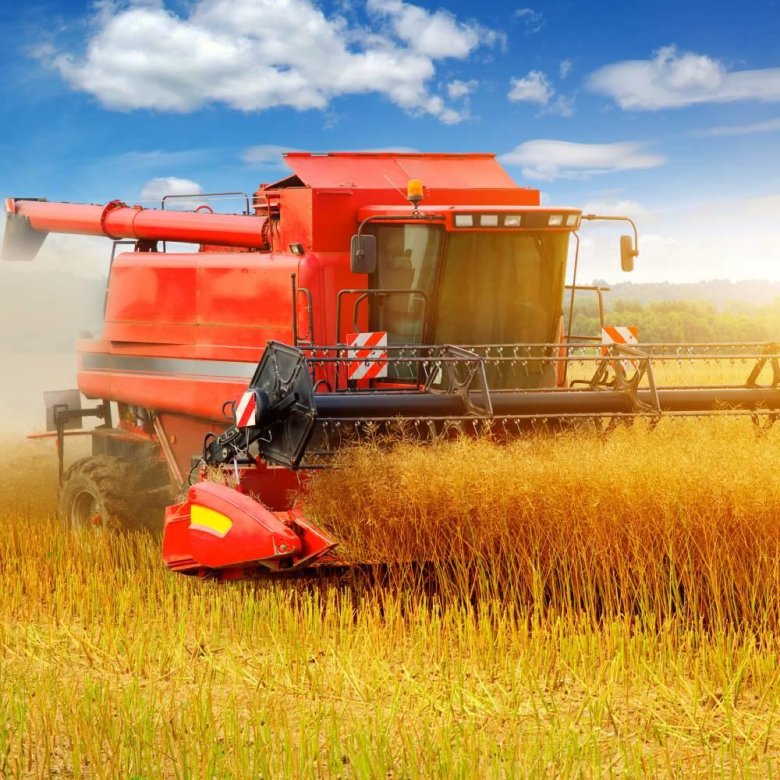 Комбайн в поле