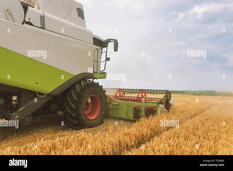 Комбайн фото в поле с жаткой