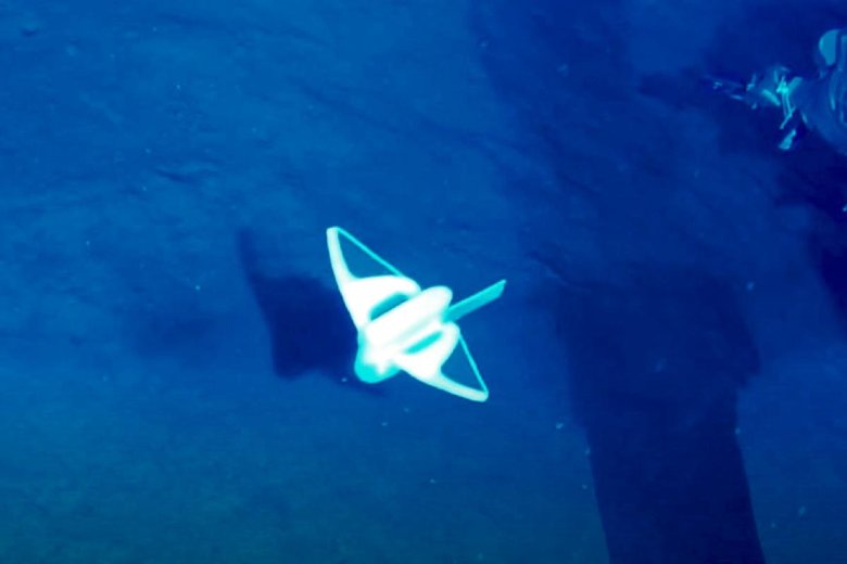 Морской СЛИЗЕНЬ В Марианской впадине