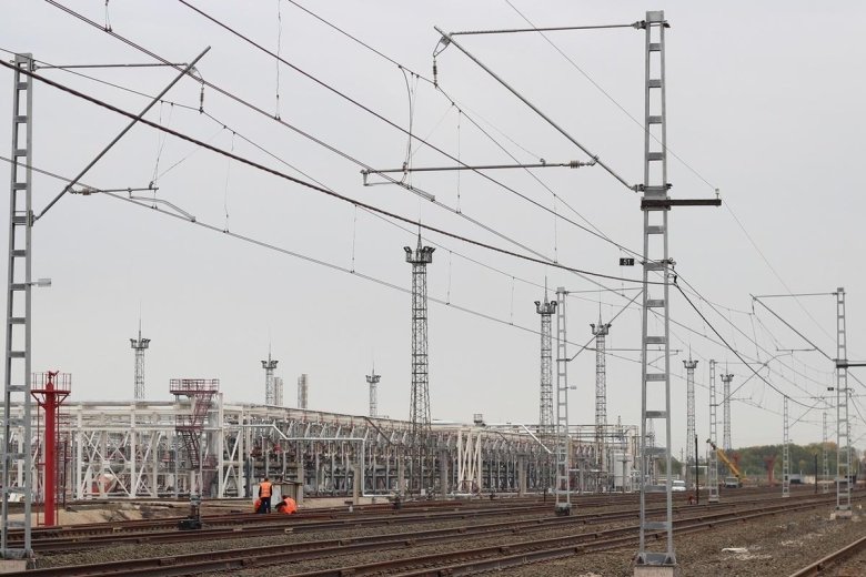 Птицу убило током около опоры