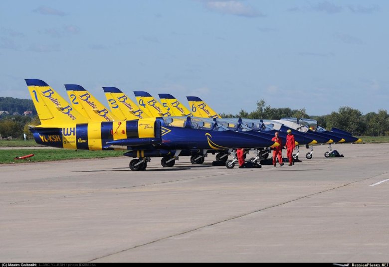 Балтийские пчелы