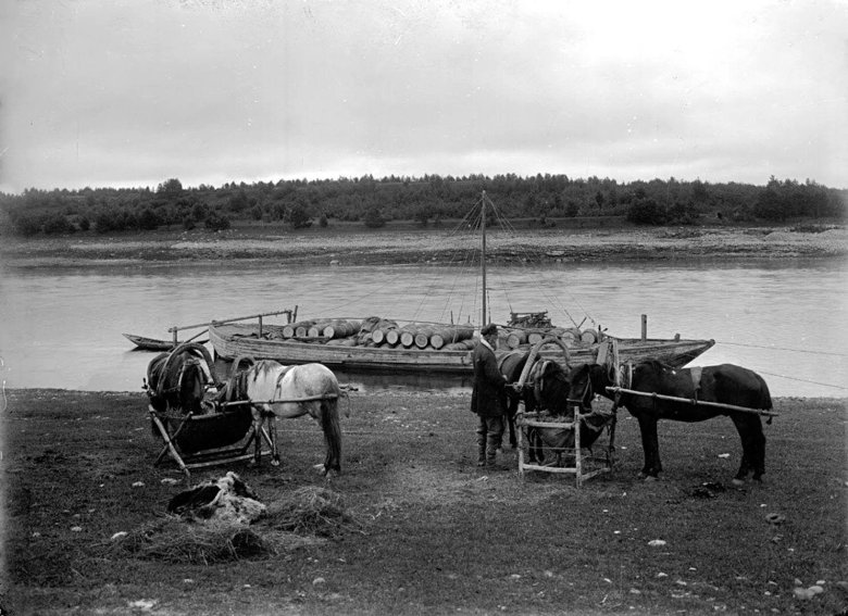 Фотограф Максим Дмитриев Тверская Губерния