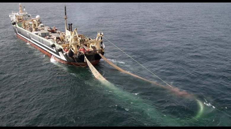 Супертраулер маргирис