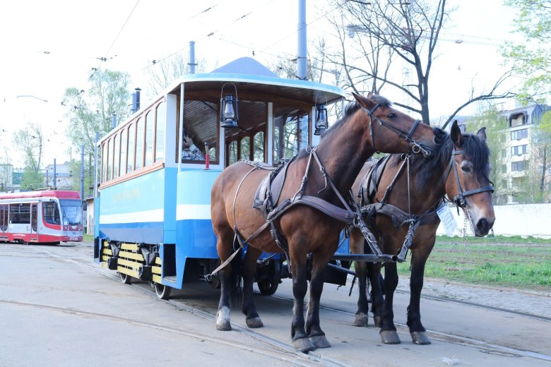 Картина с трамваями на конной тяге