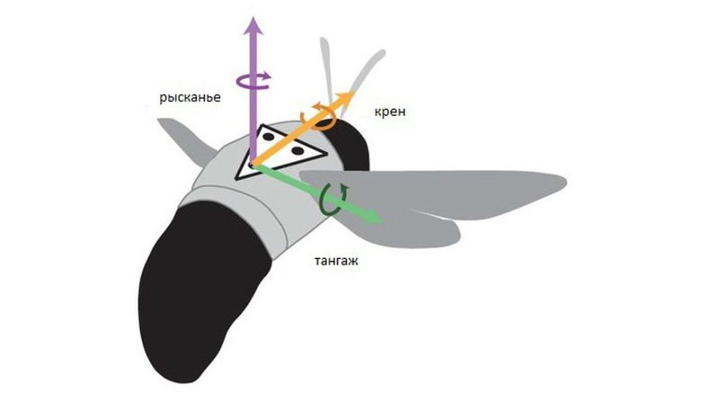 Крен тангаж и рыскание